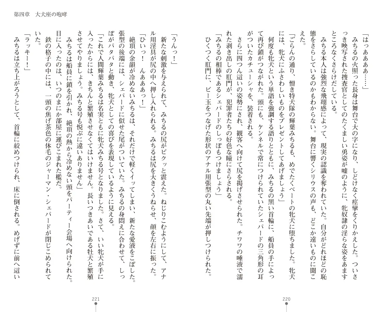 sub-image_41