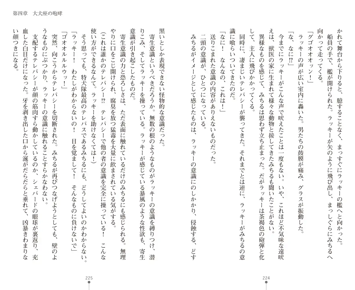 sub-image_43