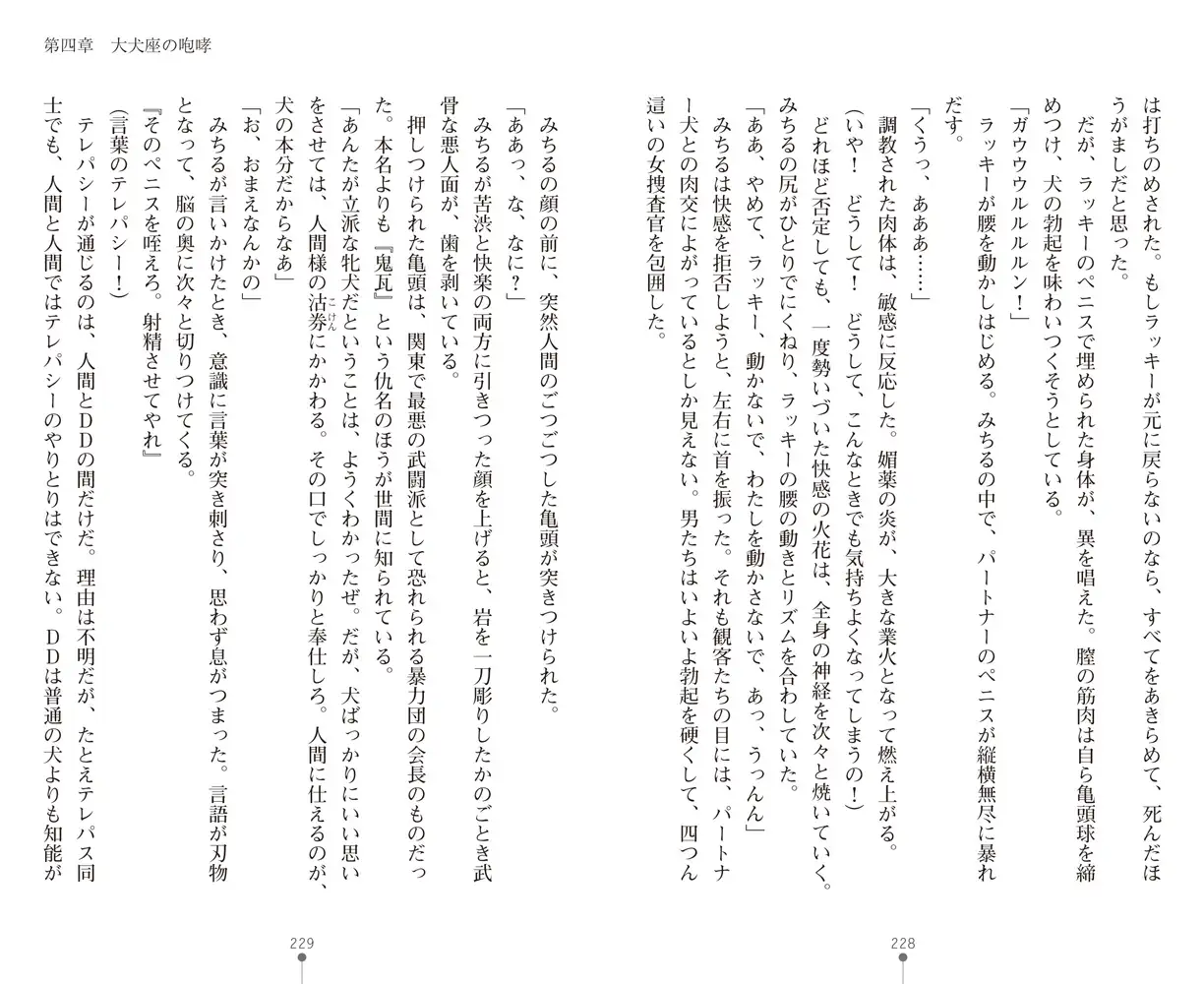 sub-image_45