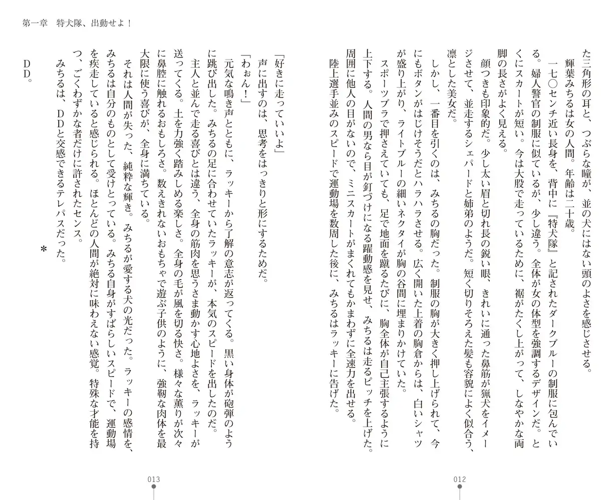 sub-image_4
