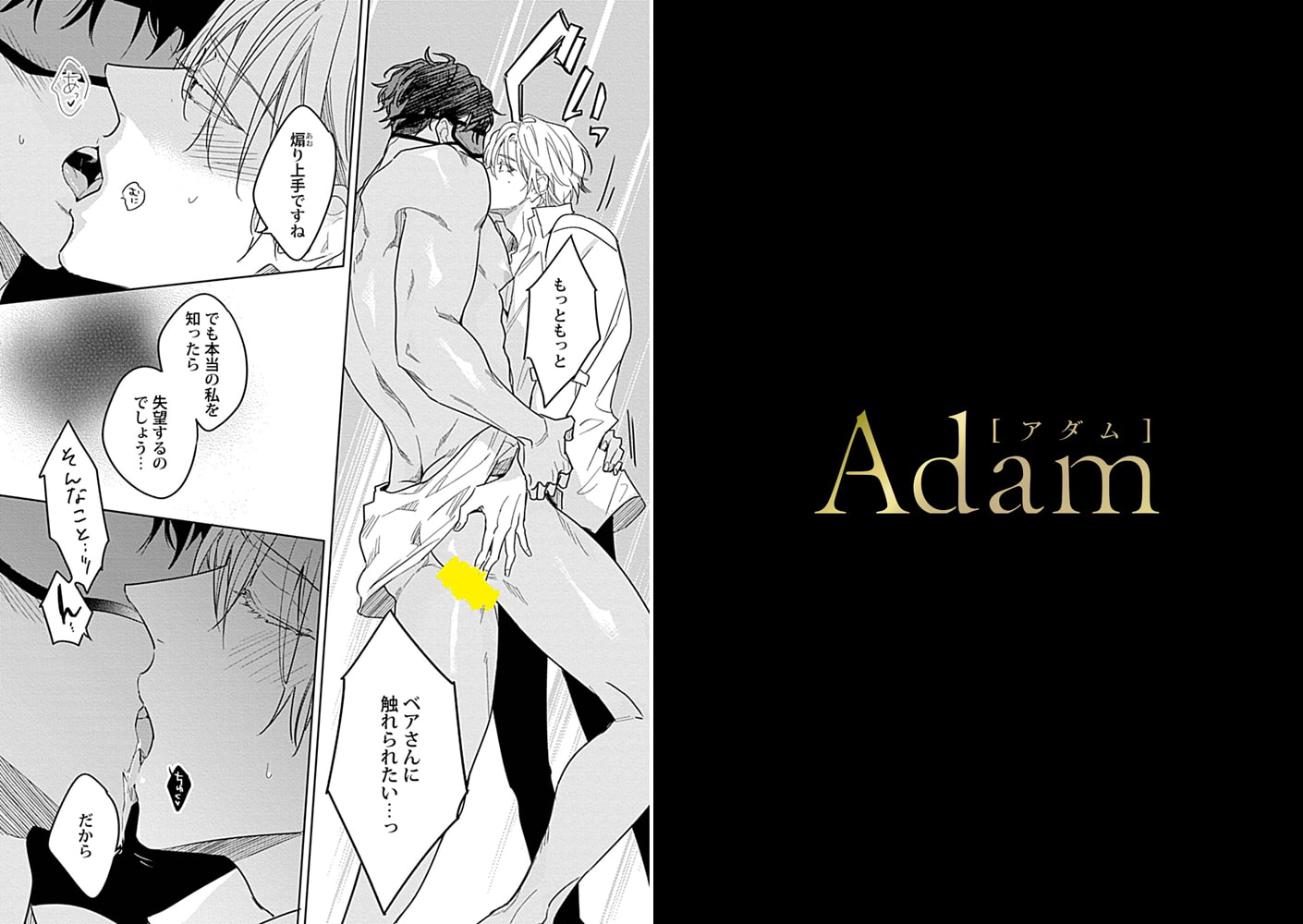 Adam volume.4【R18版】 画像16