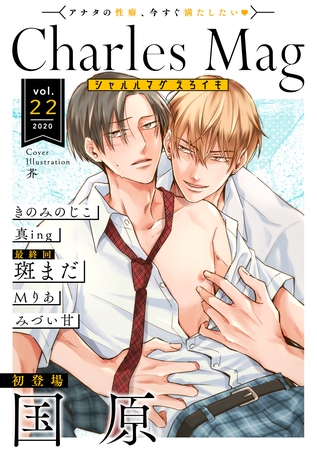 Charles Mag -えろイキ- vol.22(19) [メディアソフト]