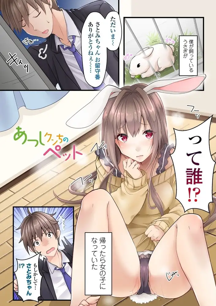 sub-image_4