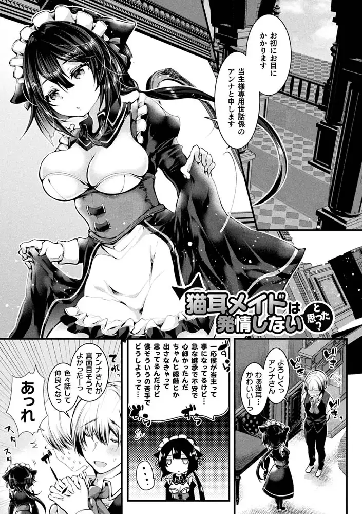 sub-image_26
