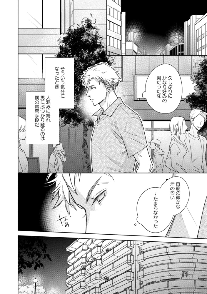 [風緒]ミッドナイトストレイアニマルズ