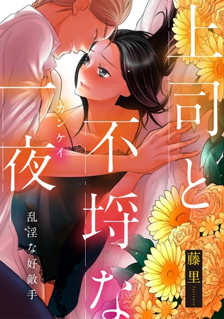 乱淫な好敵手 上司と不埒な一夜 [コンパス]