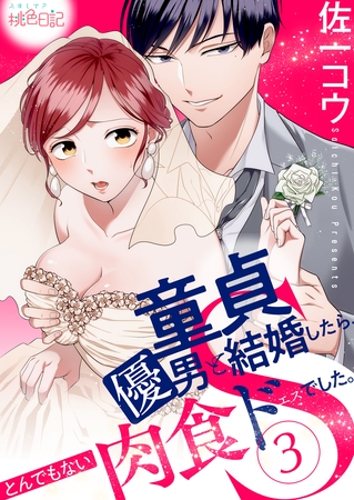 童貞優男と結婚したら、とんでもない肉食ドSでした。 3