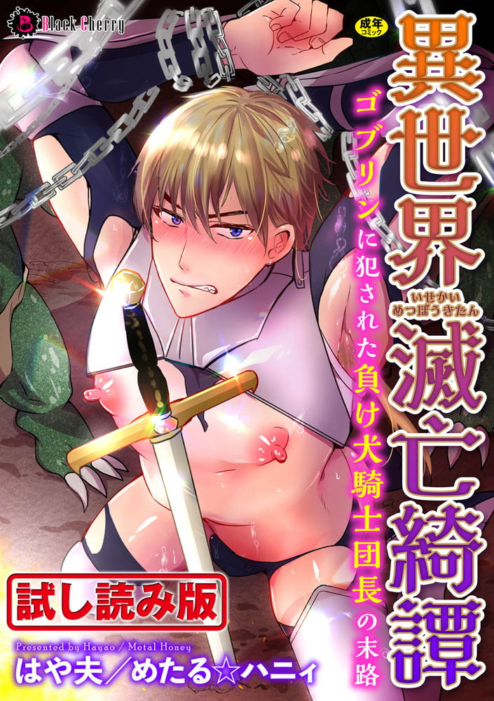 異世界滅亡綺譚 ゴブリンに犯された負け犬騎士団長の末路 画像1