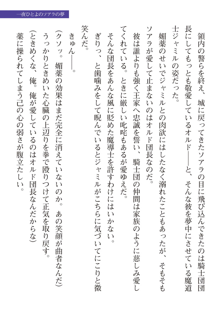 悪徳ゲイ魔導士がメス堕ちハーレム王国を作るようです 合本版 画像11