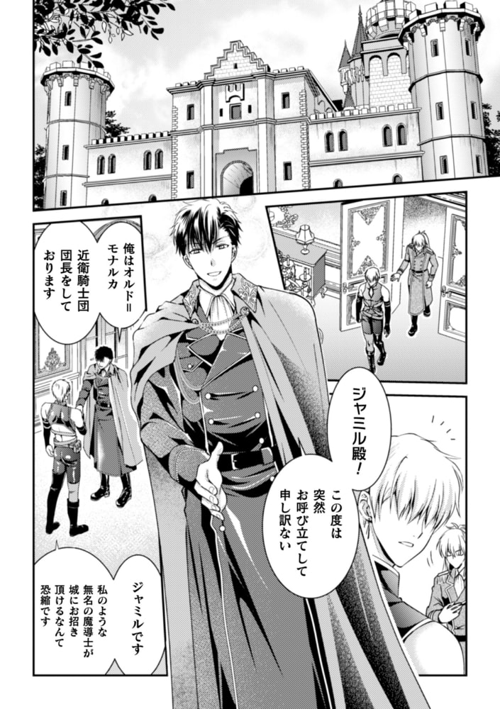 悪徳ゲイ魔導士がメス堕ちハーレム王国を作るようです 合本版 画像3