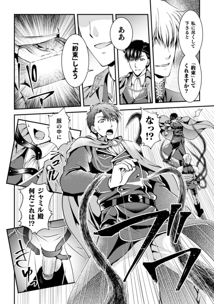 悪徳ゲイ魔導士がメス堕ちハーレム王国を作るようです 合本版 画像4