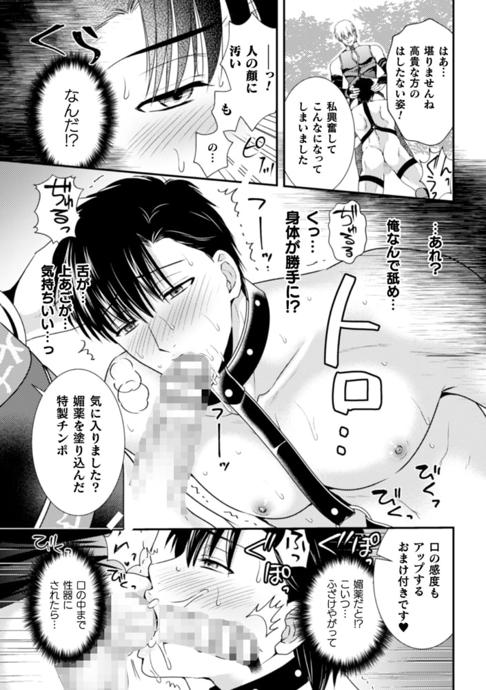 悪徳ゲイ魔導士がメス堕ちハーレム王国を作るようです 合本版 画像5