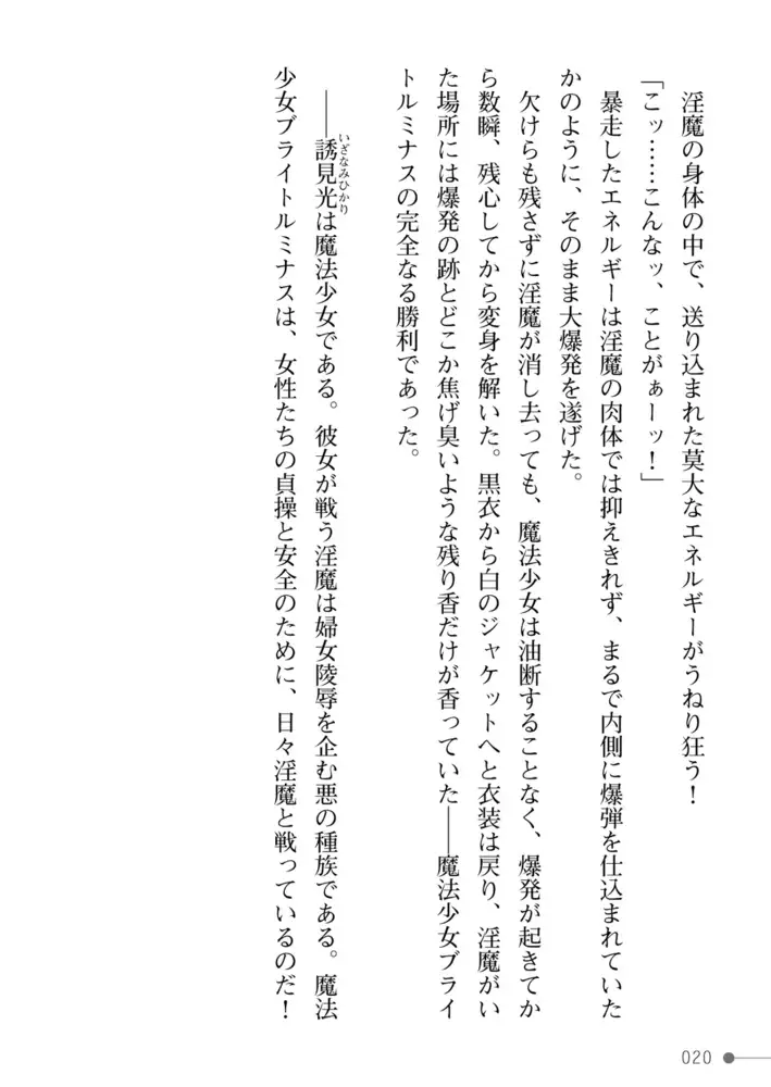 sub-image_19