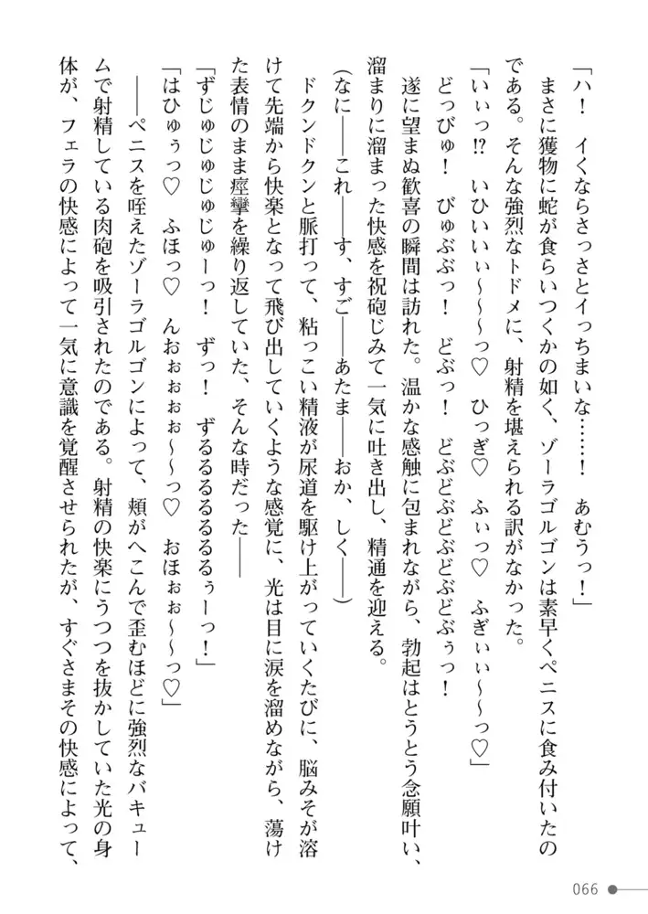 sub-image_29