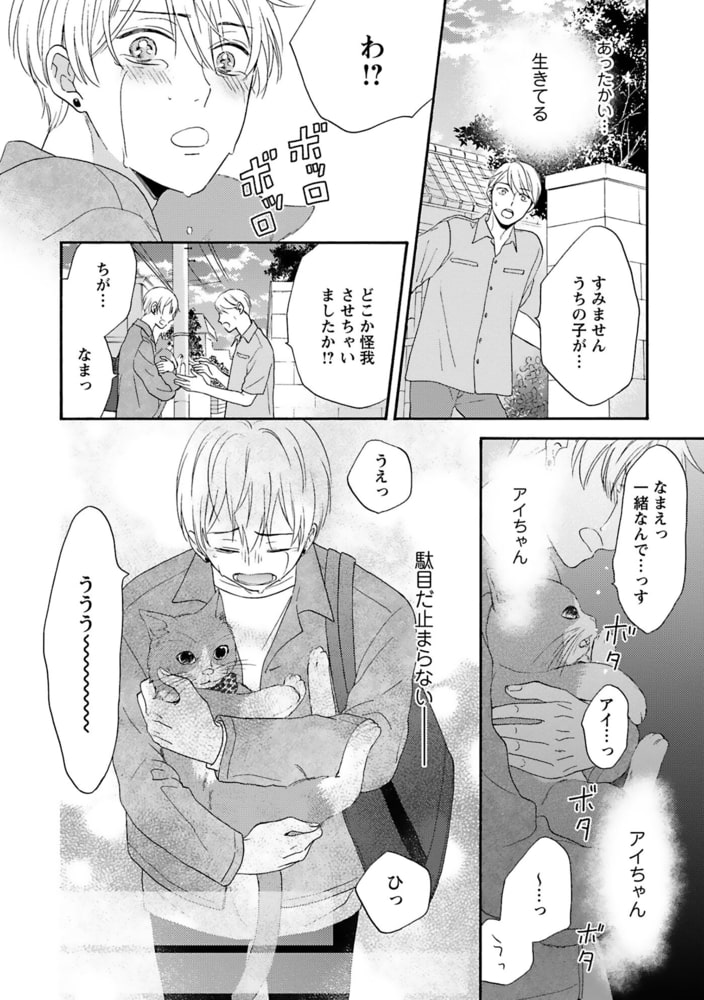 [もみもみじ]メランコリック・ランデヴー