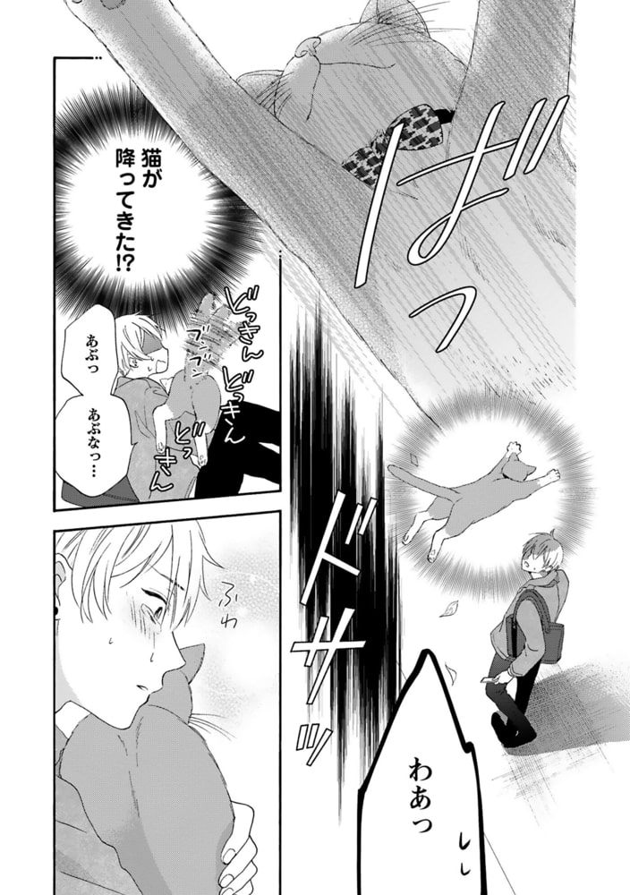 [もみもみじ]メランコリック・ランデヴー