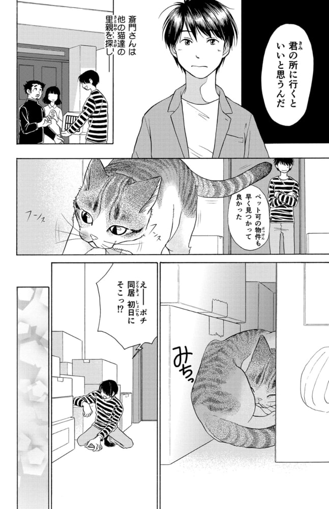 はしもとみお彫刻日誌 木彫り猫の息吹 ひだまり 少年画報社 Dlsite Comipo