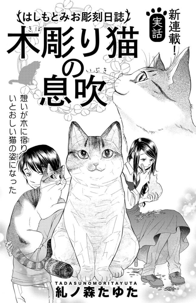 はしもとみお彫刻日誌 木彫り猫の息吹 ひだまり 少年画報社 Dlsite Comipo