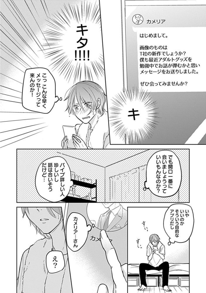 開発済みですがレクチャーは出来ません！【電子限定特典付き】 サンプル12