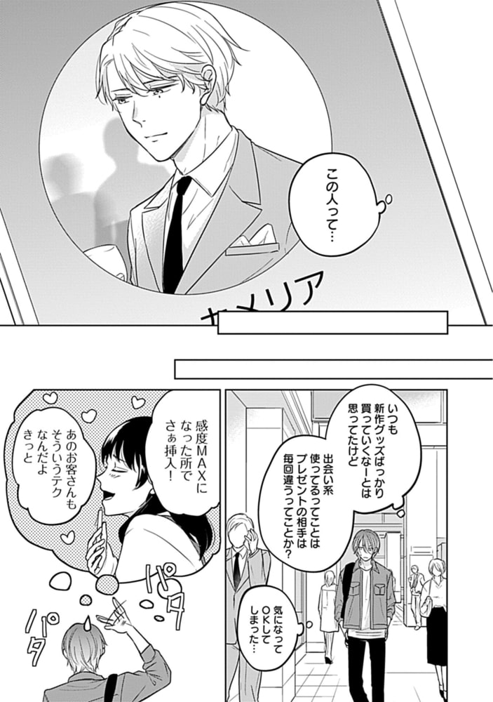 開発済みですがレクチャーは出来ません！【電子限定特典付き】 サンプル13