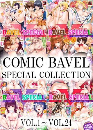 【セット売り】COMIC BAVEL SPECIAL COLLECTION VOL1~COMIC BAVEL SPECIAL COLLECTION VOL24セット