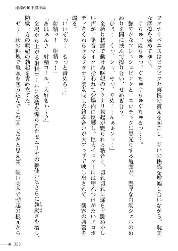 sub-image_28
