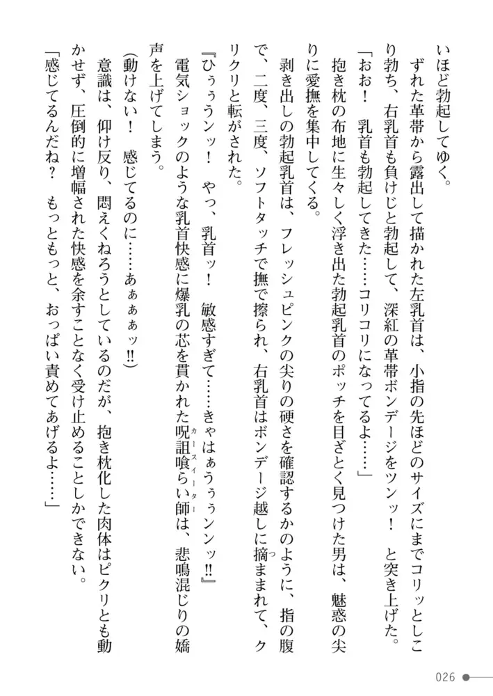 sub-image_25