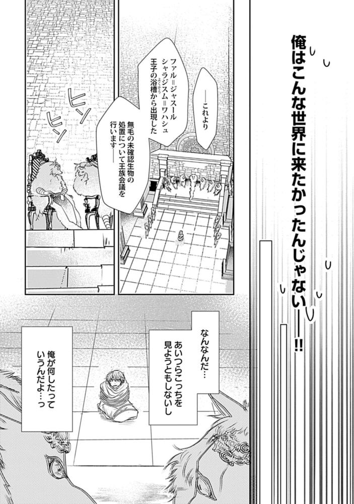 いとしの毛むくじゃら【電子限定特典付き】 サンプル13