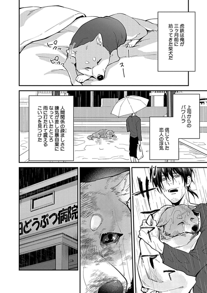 異種婚BL【特典付き】 サンプル18