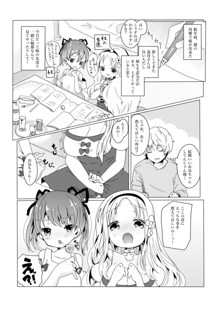 お義兄ちゃんとえっちなお勉強会～オトナなカラダの育て方～のサンプル画像3