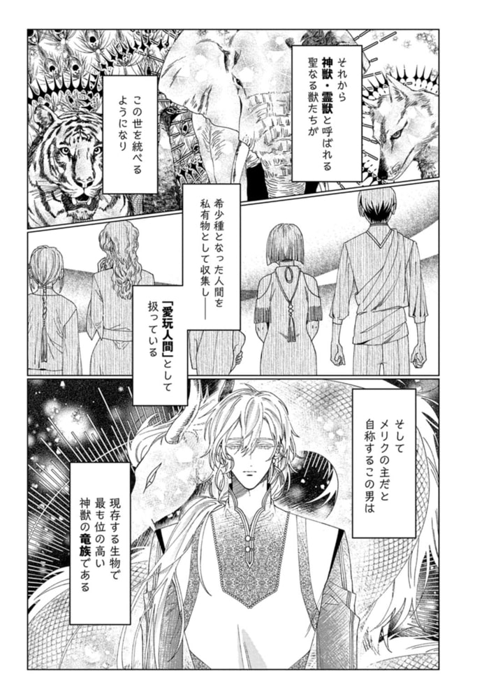 神獣の箱庭【単行本版／電子限定描き下ろし5Pマンガ付】 サンプル13