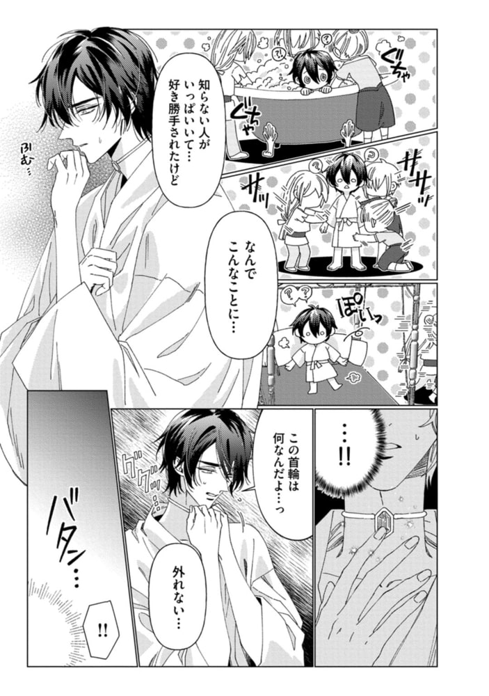 神獣の箱庭【単行本版／電子限定描き下ろし5Pマンガ付】 サンプル7