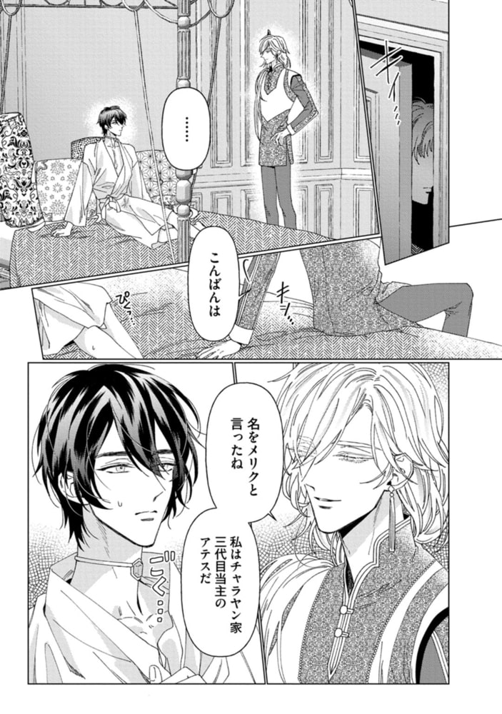 神獣の箱庭【単行本版／電子限定描き下ろし5Pマンガ付】 サンプル9