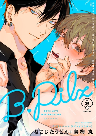 B.Pilz ｖｏｌ．29 [ブライト出版]