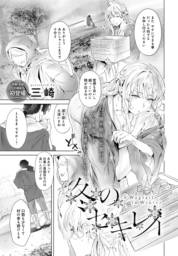 冬のセキレイのサンプル画像1