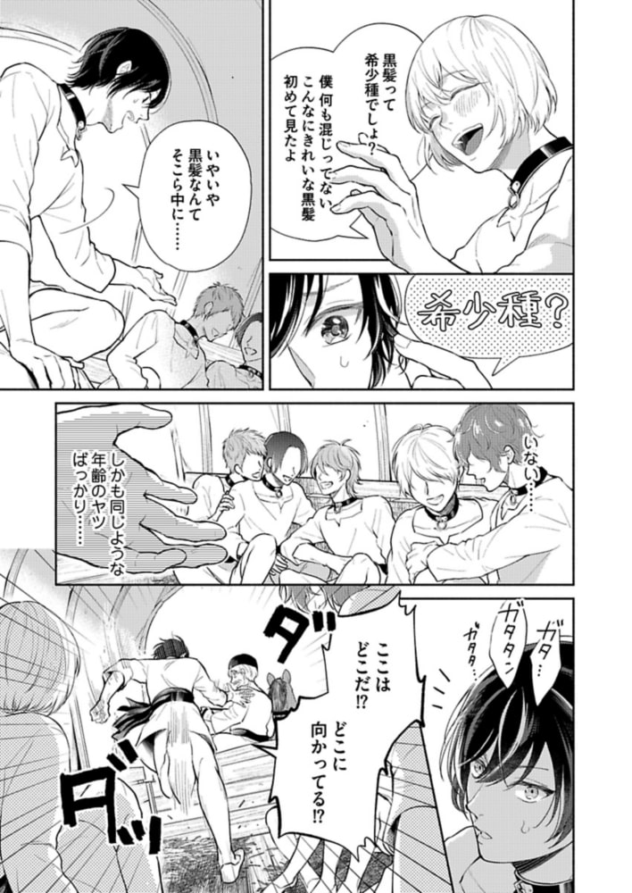 異世界転生したと思ったら早速オークションへ出品されてしまいました 1 サンプル9