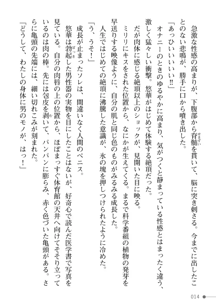 sub-image_13