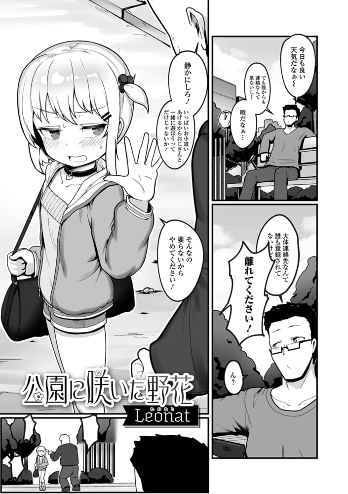 公園に咲いた野花のサンプル画像1