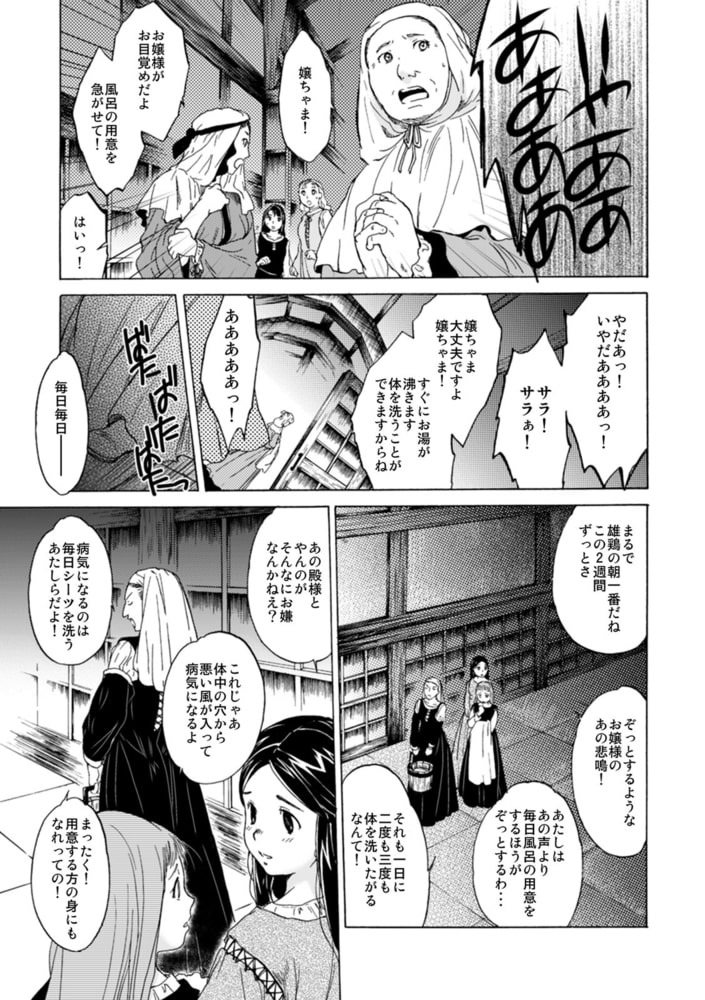 聖フォワール祭(4) 聖フォワール祭(4)