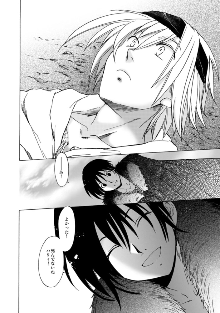 聖フォワール祭(6)