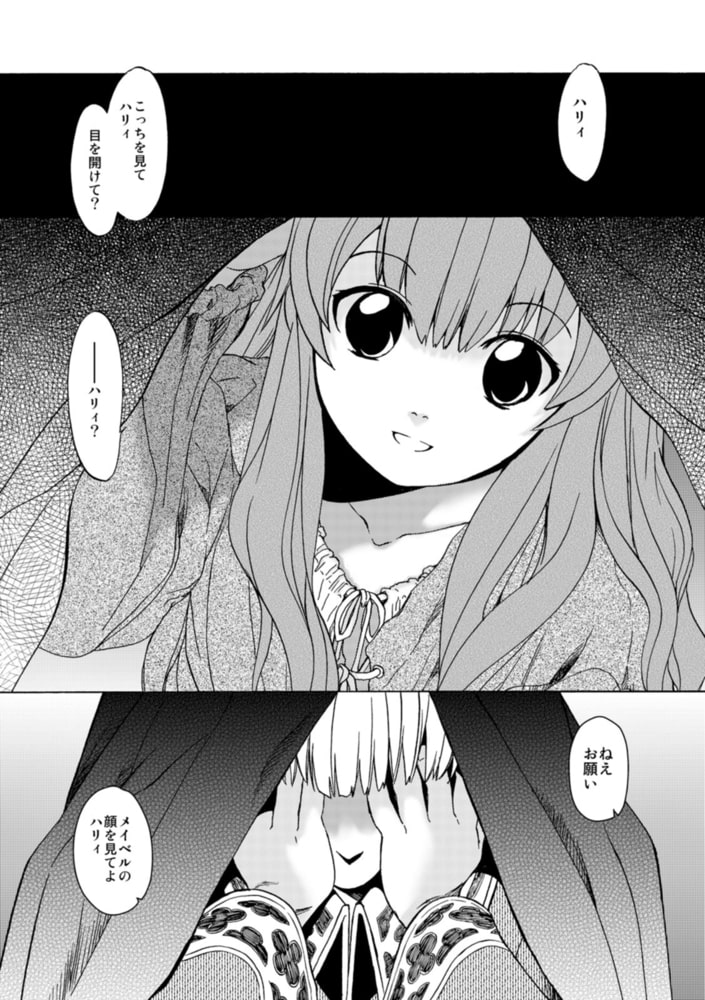 聖フォワール祭(7) 聖フォワール祭(7)