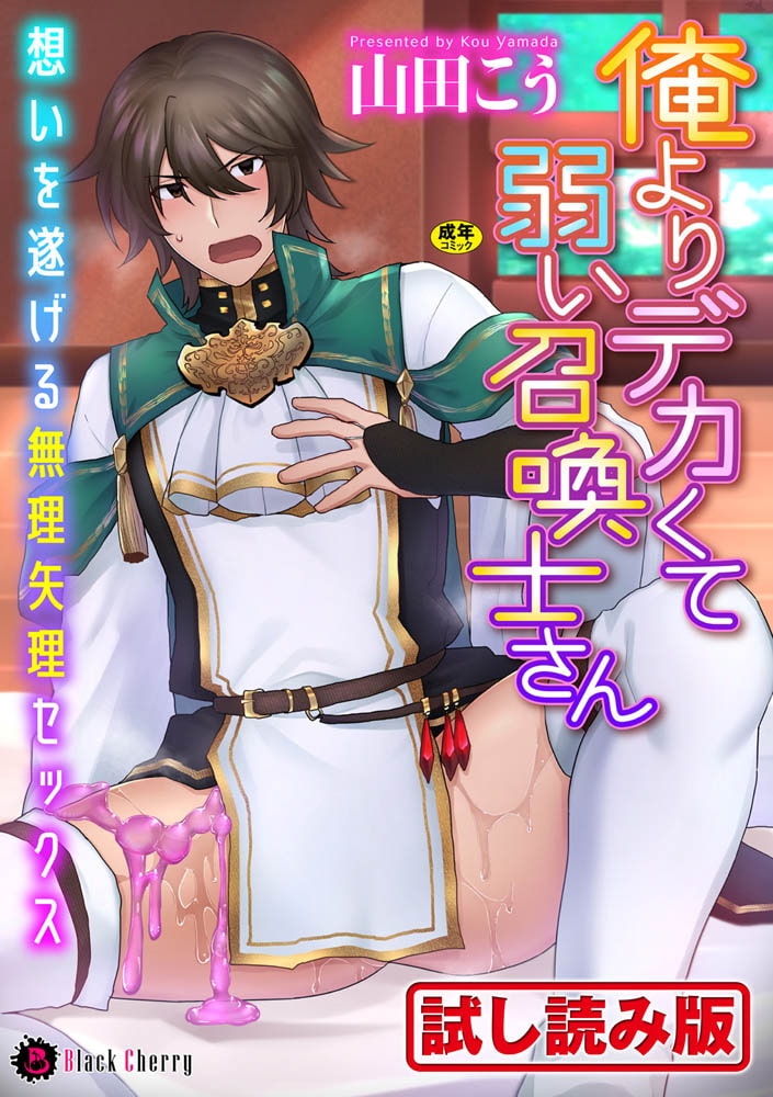 俺よりデカくて弱い召喚士さん～想いを遂げる無理矢理セックス～ 画像1