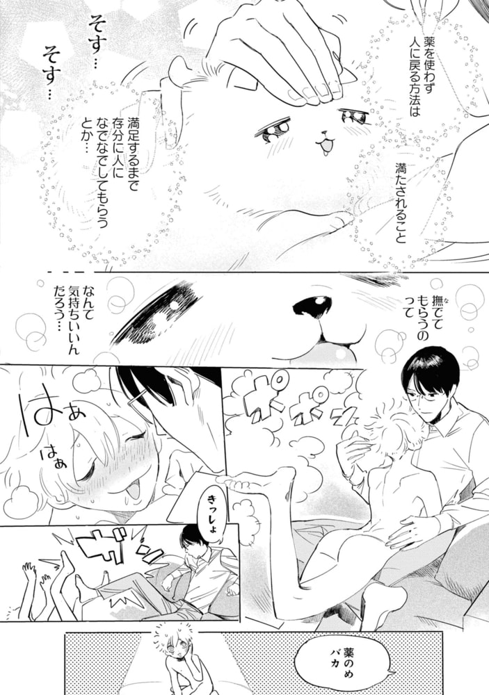 犬も歩けば恋がはじまる 限定版【小冊子付き】 サンプル18
