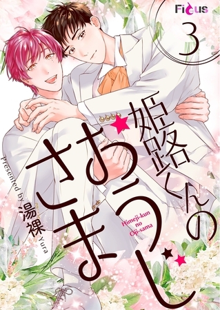 姫路くんのおうじさま 3 [シーモアコミックス]
