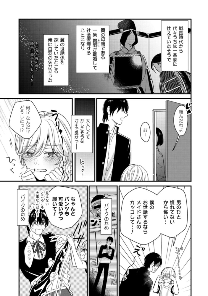 うちのメイドに性癖歪められました【電子限定漫画付き】 サンプル15