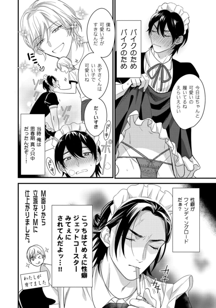 うちのメイドに性癖歪められました【電子限定漫画付き】 サンプル16