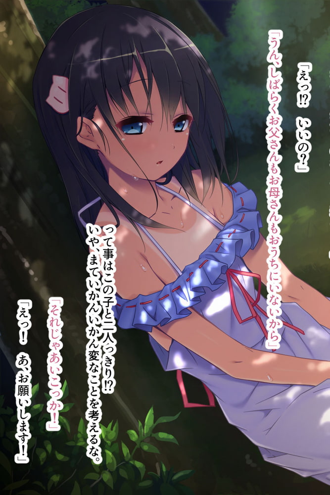 まぐわい田舎の淫らな掟 ～脱少子化！淫習ケダモノ種付け～【CG集コレクション】