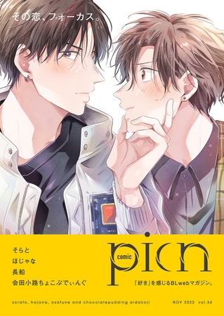 comic picn vol.34 [ジーオーティー]