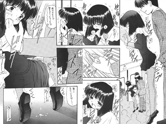 蛍-総集編記念本-