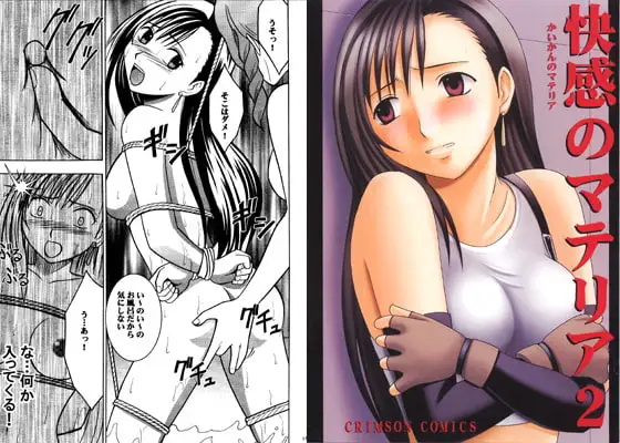 快感のマテリア2